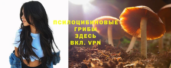 mdpv Арсеньев