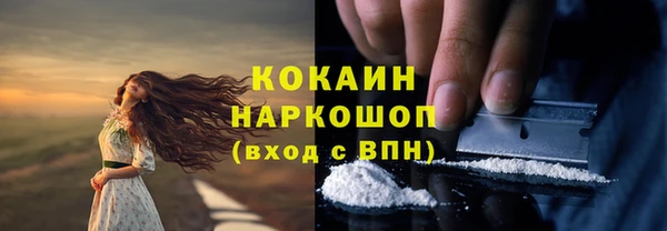 гашик Аркадак