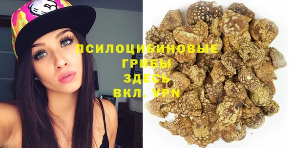 гашик Аркадак