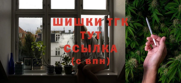 гашик Аркадак